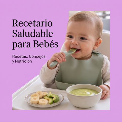 Recetario Casero para Bebes